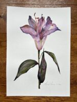 Original Watercolour Painting Purple Lily Flower