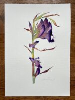 Original Watercolour Painting Lilac Flower