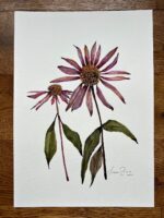 Original Watercolour Painting Two Flowers