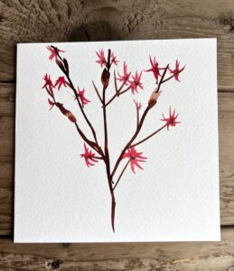 Handmade Greeting Card Red Floral Foliage