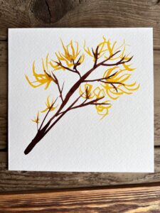 Handmade watercolour floral card